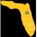 FLORIDA PIN FL STATE SHAPE PINS